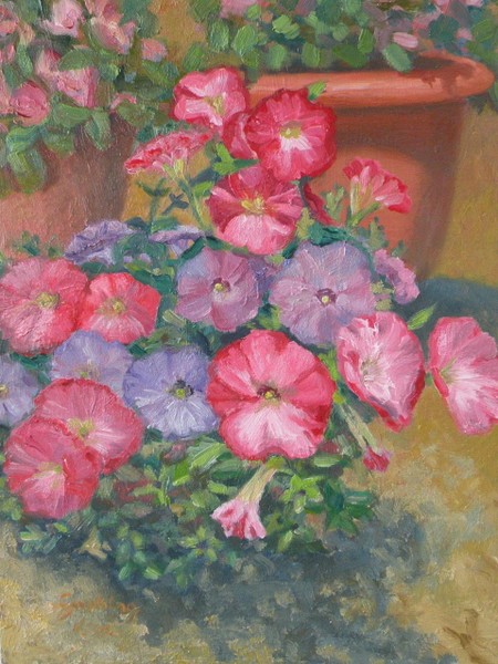 My Petunia's