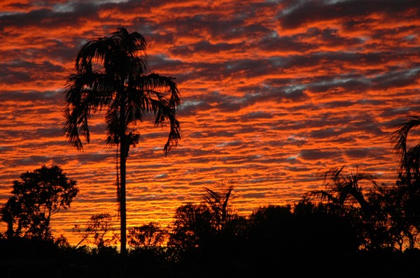 Territory Sunrise