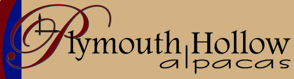Plymouth Hollow Alpacas_Logo