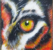 Eye Of The Tiger 10