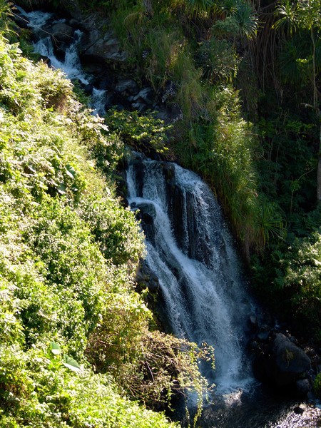 Waterfall I