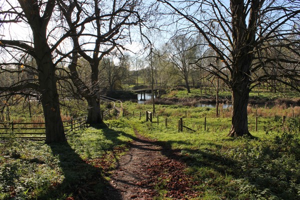 The River Trail