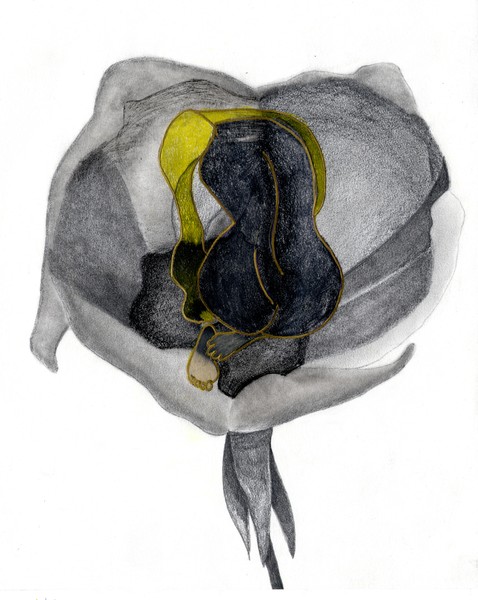 The Flower / Waking Up