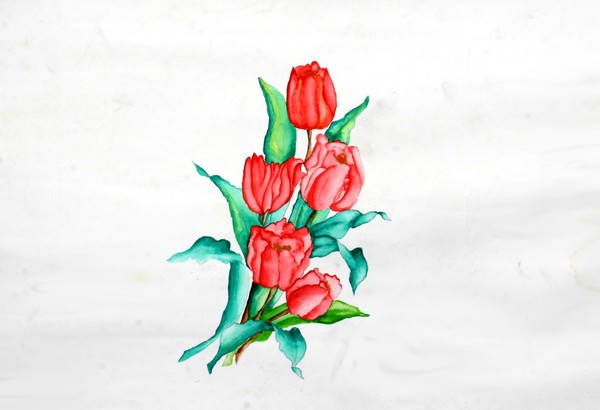 still life