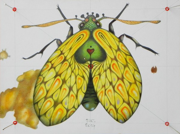 Butterfly n. 2