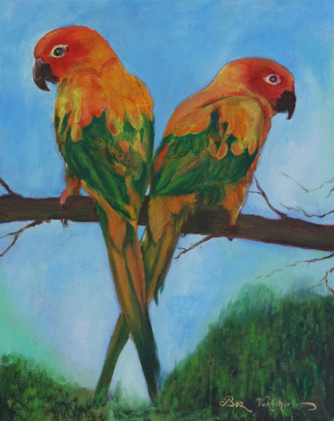 Amazon Lovers