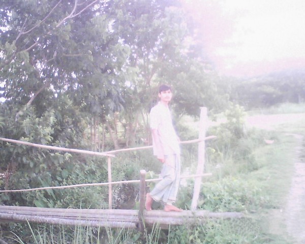 Free Whole Life