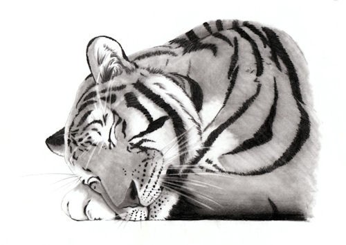 Sleeping Beauty