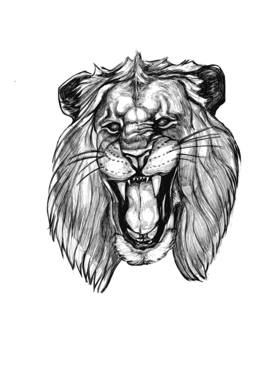 LIONHEAD