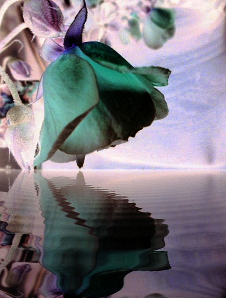 Magic Mirror ........