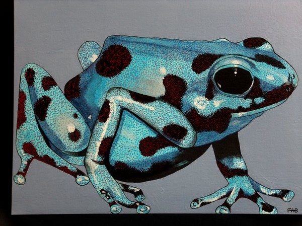 tabasara rain frog