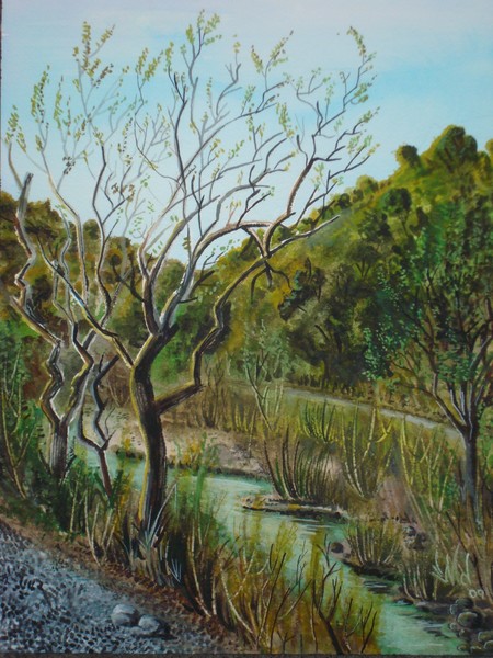 Nile Canyon, Spring