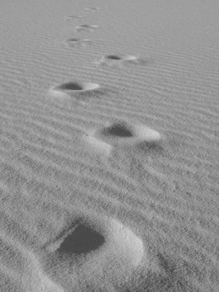 footprints