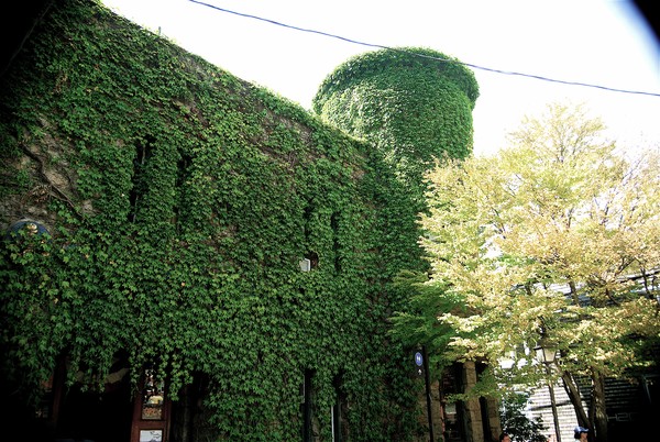 Ivy Architecture