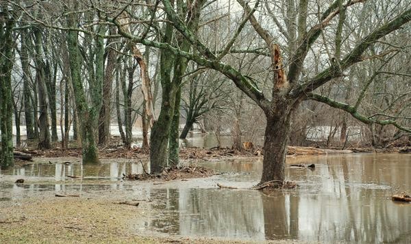 Flood Waters