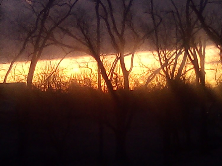 Frosty Morning Fire