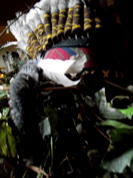 TO NATIVE SPIRITS
