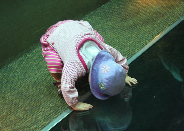 What's Down There? A Curious Toddler