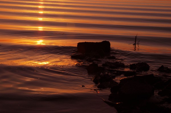 Sunrise Waves Meets Row of Rocks