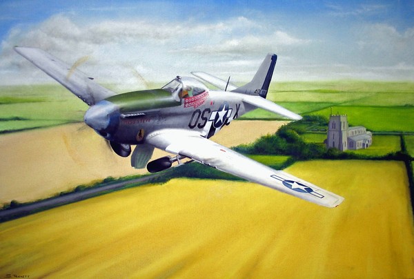 Mustang Summer