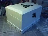 Celtic Box Of Life