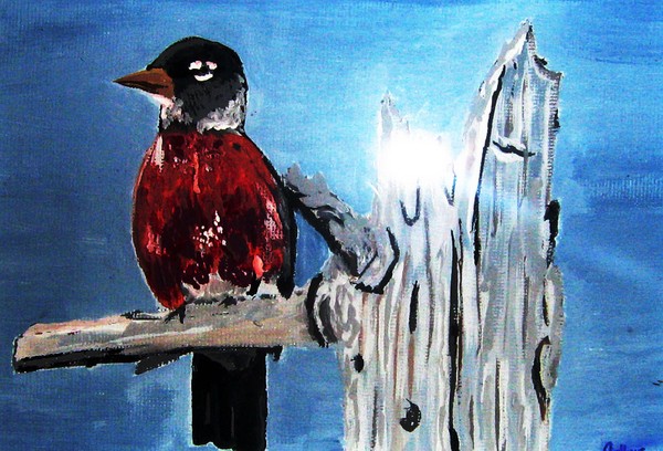 The Robin