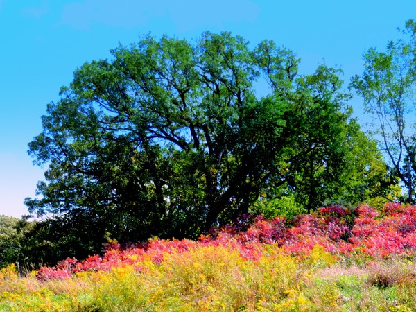 As Summer Ends And Fall Begins