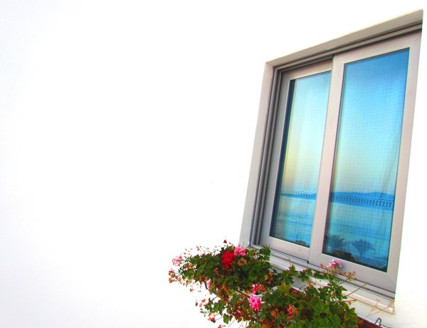 The Window of Life