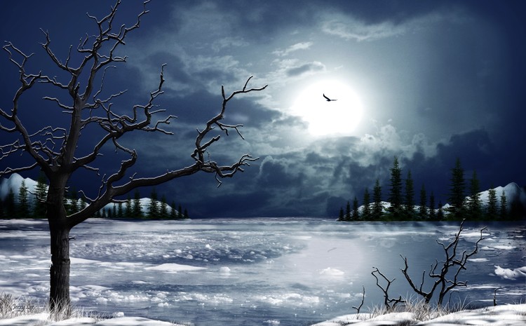 Frozen Lake