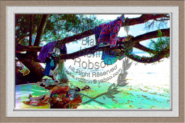 Shade tree on tropical beach