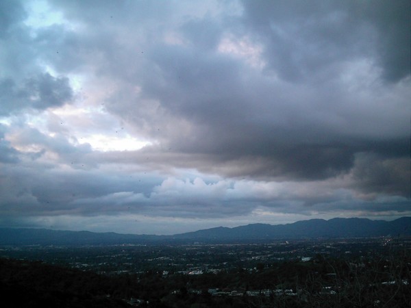 Untitled 9