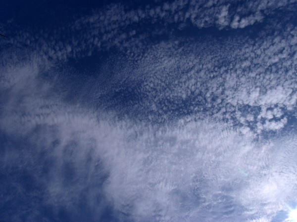 07112012 008