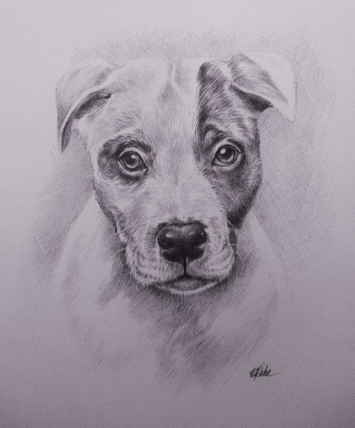 Baz
