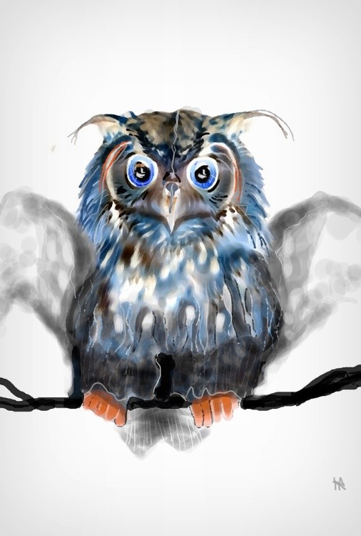 owl head