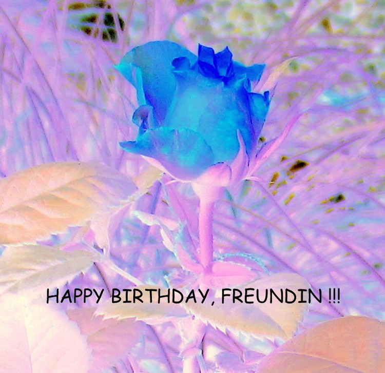 HAPPY BIRTHDAY, DEAR STEF !!!!