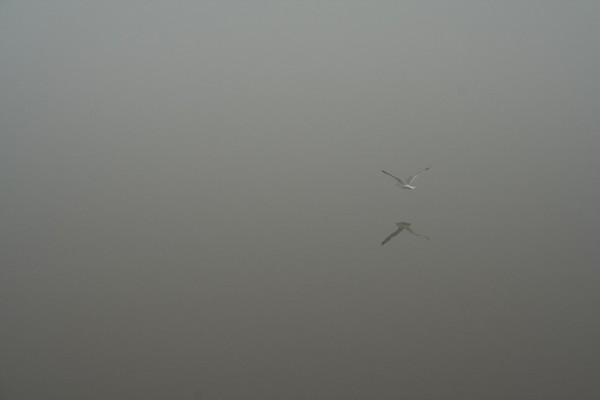 Solo Flight