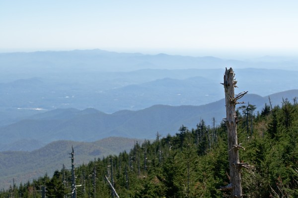 The View From Above