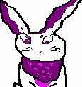 Qjer, my CyBunny on neopets.com