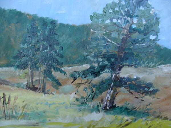 Elk Meadow Park