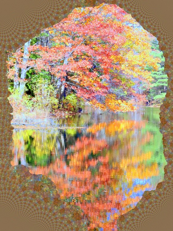 Abstract of beauty