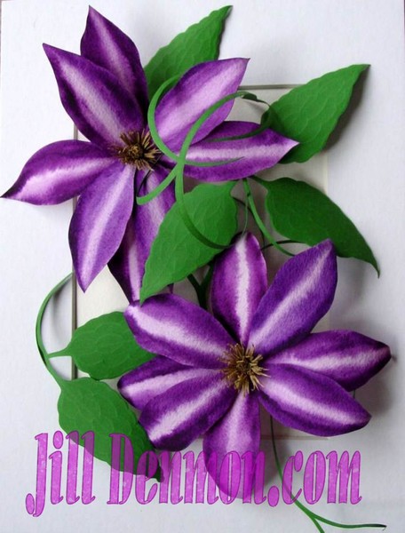 Clematis