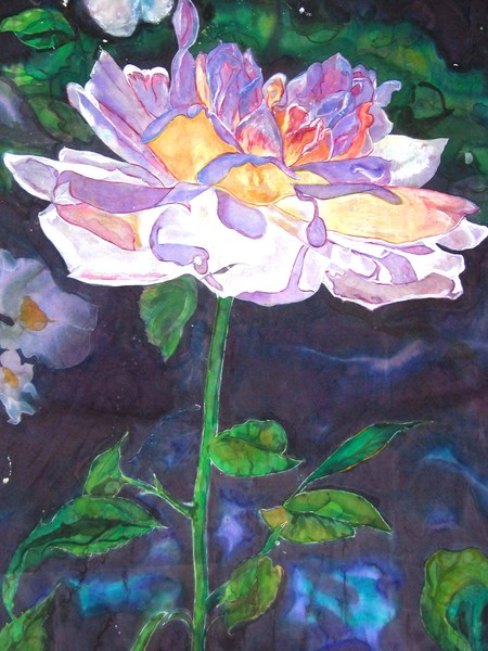 Midnight Rose