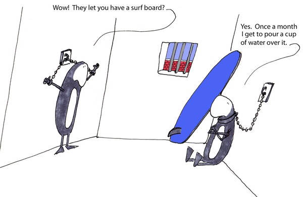 you have a surf board