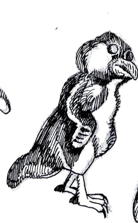 Penguin