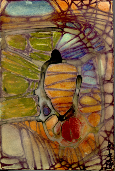 Fingerprints & Spiderwebs