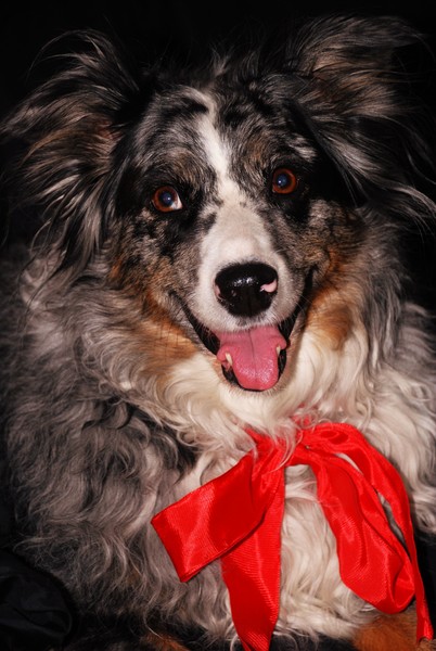 Jasmine - Ready To See Santa!