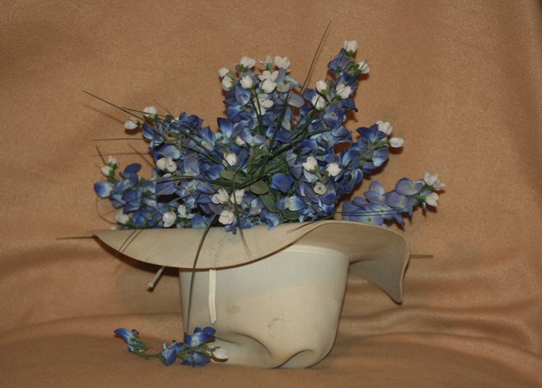 Hat and Blue Bonnets