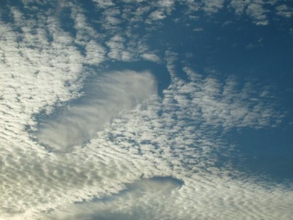 God's Foot Prints
