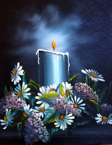 Daisies A Glow