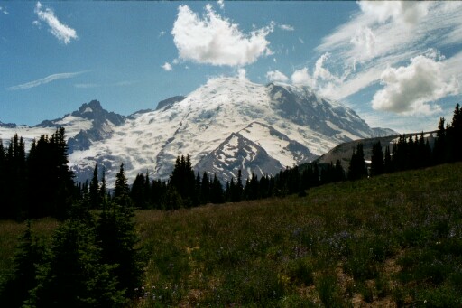 Mount Rainier National Park, WA